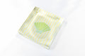 Gelato Stripe Shell