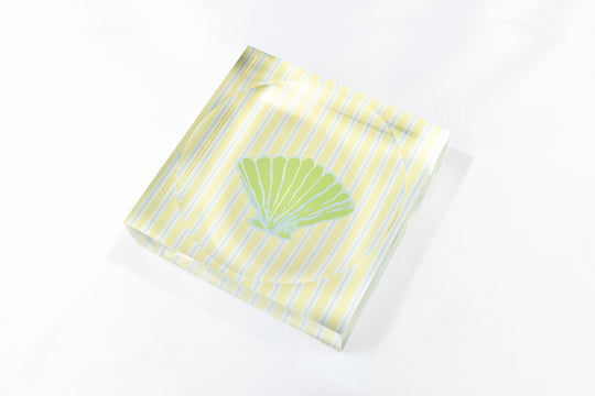 Gelato Stripe Shell
