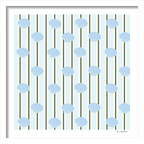 Cabana Shells