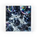 Disco Fever Terez x by robynblair