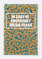 In Case of Emergency Break Glass - White Text